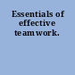 Essentials of effective teamwork.