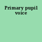 Primary pupil voice