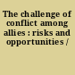 The challenge of conflict among allies : risks and opportunities /