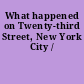 What happened on Twenty-third Street, New York City /