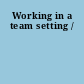Working in a team setting /