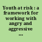 Youth at risk : a framework for working with angry and aggressive millenium clients /