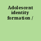 Adolescent identity formation /