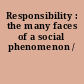 Responsibility : the many faces of a social phenomenon /
