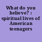 What do you believe? : spiritual lives of American teenagers /
