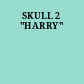 SKULL 2 "HARRY"