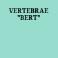 VERTEBRAE "BERT"