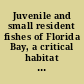 Juvenile and small resident fishes of Florida Bay, a critical habitat in the Everglades National Park, Florida