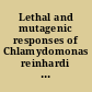 Lethal and mutagenic responses of Chlamydomonas reinhardi to 1.55 MeV proton irradiation