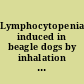 Lymphocytopenia induced in beagle dogs by inhalation of ²³⁹PuO₂