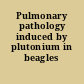 Pulmonary pathology induced by plutonium in beagles