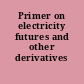 Primer on electricity futures and other derivatives