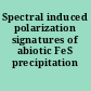 Spectral induced polarization signatures of abiotic FeS precipitation