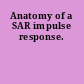Anatomy of a SAR impulse response.