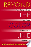 Beyond the color line : new perspectives on race and ethnicity in America /