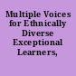 Multiple Voices for Ethnically Diverse Exceptional Learners, 2002