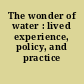 The wonder of water : lived experience, policy, and practice /