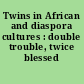Twins in African and diaspora cultures : double trouble, twice blessed /
