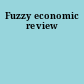 Fuzzy economic review