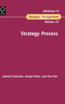 Strategy process /