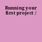 Running your first project /