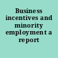 Business incentives and minority employment a report /