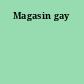 Magasin gay