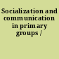 Socialization and communication in primary groups /