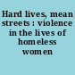 Hard lives, mean streets : violence in the lives of homeless women /