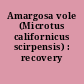 Amargosa vole (Microtus californicus scirpensis) : recovery plan.