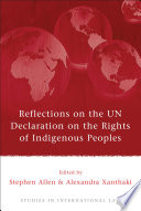 Reflections on the UN Declaration on the Rights of Indigenous Peoples /