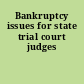 Bankruptcy issues for state trial court judges