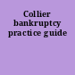 Collier bankruptcy practice guide