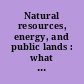 Natural resources, energy, and public lands : what happens next?.
