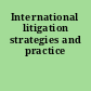 International litigation strategies and practice