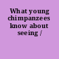 What young chimpanzees know about seeing /