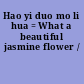 Hao yi duo mo li hua = What a beautiful jasmine flower /