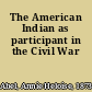 The American Indian as participant in the Civil War