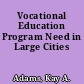 Vocational Education Program Need in Large Cities