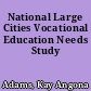 National Large Cities Vocational Education Needs Study