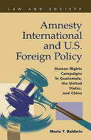 Amnesty International and U.S. foreign policy : human rights campaigns in Guatemala, the United States, and China /