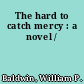 The hard to catch mercy : a novel /