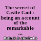 The secret of Castle Cant : being an account of the remarkable adventures of Lucy Wickwright, maidservant and spy /