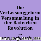 Die Verfassunggebende Versammlung in der Badischen Revolution von 1849 : Darstellung und Dokumentation /