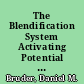 The Blendification System Activating Potential by Connecting Culture, Strategy, and Execution.