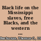 Black life on the Mississippi slaves, free Blacks, and the western steamboat world /