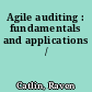 Agile auditing : fundamentals and applications /
