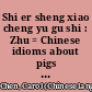 Shi er sheng xiao cheng yu gu shi : Zhu = Chinese idioms about pigs and their related stories /