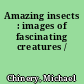 Amazing insects : images of fascinating creatures /