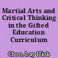 Martial Arts and Critical Thinking in the Gifted Education Curriculum